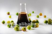 Organic Acerola Concentrate 18% Vit. C