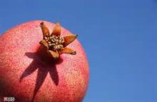 Pomegranate concentrate