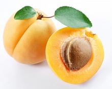 Apricot puree