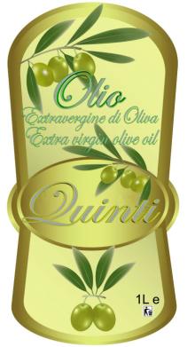OLIO EXTRAVERGINE DI OLIVA QUINTI