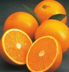 orange  sac s pulp puree for  juice 