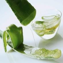Aloe Vera : in Water / in Syrup / Aseptic Aloe Vera