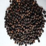 Black Pepper Seeds and Powder