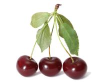 Sourcherry Juice Concentrate