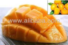 High Quality Newest Crop Mango Pulp & Concentrates