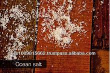 High Quality Unrefined White Pure Sea Salt for Sale
