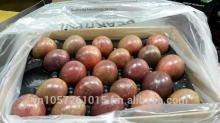 PASSION FRUIT