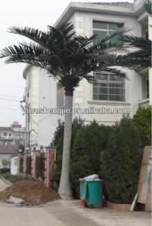 2014 newest design hot quality fake plants coconut in china imitation coconut tree wholesale