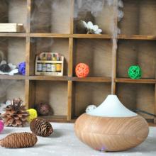 Modern light wood aroma diffuser/mini air conditioner for car/sunflower oil
