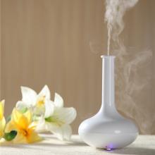 2014 hot sale sunflower oil aroma diffuser, mini   air  conditioner for car