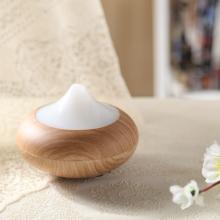 Modern light wood reed diffuser/mini air conditioner for car/sunflower oil