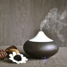 GX Brand rasasi perfumes deep wood diffuser/sunflower oil