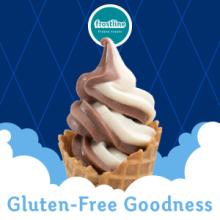 Frozen Yogurt/Ice Cream  Soft   Serve   Mix - Lactose Free