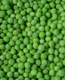 IQF Frozen Green Peas A Quality , Best Pricing