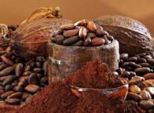 Cocoa powder & Cocoa Butter