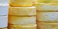  Dutch   Cheese s