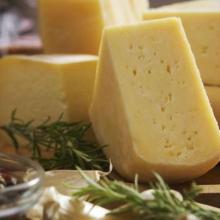 Gourmet Donkey Cheese