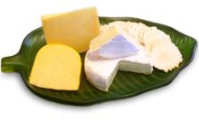 vegetarian cheese, organic cheese