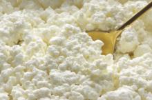 Frosen 100% cow CURD (cottage cheese)