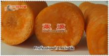 China vegetables carrot
