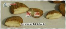 China sweet almond