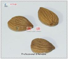 China almond nuts