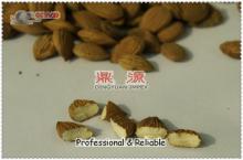 China almond kernel