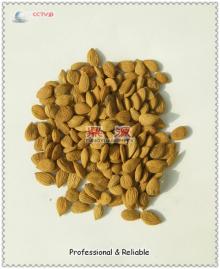 China  blanched   almonds 
