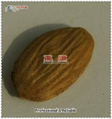 China raw almonds