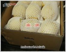 China  fresh   fruit  pear