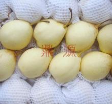  China  fresh  Ya   pear 
