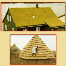 Thatched coconut Leaf House Construction in Pune
