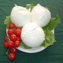 Buffalo  Mozzarella  D.O.P