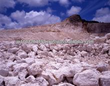 100% Pure high quality coral calcium powder health care product