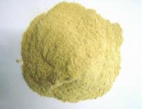 Rich Egg Protein powder