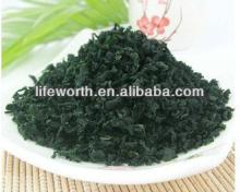 Rich Protein powder in bulk OEM