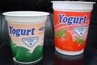 FRUITY FLAVOUR YOGHURT
