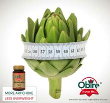 Artichoke 350mg 60 Capsules - Food supplement
