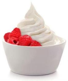 FROZEN YOGURT LIVE CULTURES GOOD BACTERIA