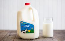gallon UHT Dairy Milk