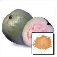 Spray Dried  Guava   Powder 