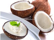Coconut Concentrated Powder Flavor