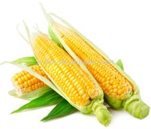  sweet  corn flavors  food  flavor