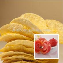 Tomatoes seasoning flavor powder for snack food