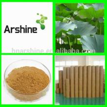 Natural Organic Lotus Leaf Extract,Lotus Leaf Extract Powder,slimming tea