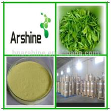 Made in China 30%-98%EGCG powder, bulk zenergreen super green tea extract