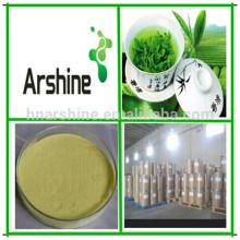 Organic Green Tea Extract,Natural Green Tea Powder,Green Tea Polyphenol