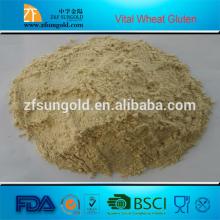 gluten crude / vital Wheat gluten / wheat starch