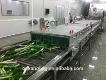 FROZEN GREEN ONION