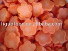 IQF Carrot slice